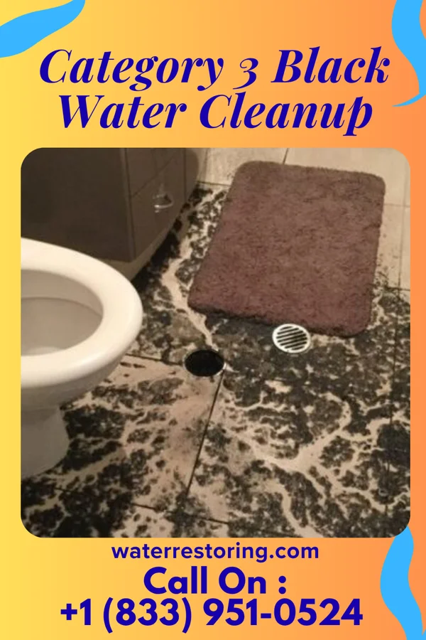 Category 3 Black Water Cleanup in Laverne, OK